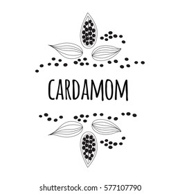 Cardamom vector typography banner with text. Culinary seasoning. Cooking Spice made in hand drawn sketch style. Image with cardamom grains on white background. Cute frame.