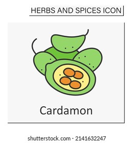 Cardamon color icon. Aromatic seeds for cooking. Additional flavor in dishes. Herbs and spices concept. Isolated vector illustration