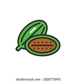 Cardamon seeds color line icon. Spices product. Vector illustration