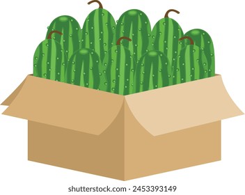 Cardboard box full of fresh cucumbers