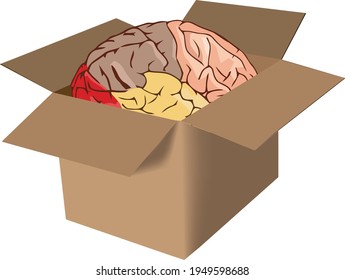 cardboard box with human brain