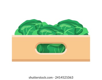 Cardboard corrugated box with cabbage. Vector clipart isolated on white background.