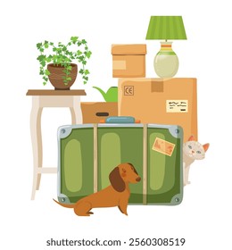 Cardboard moving boxes with suitcases, pets and house plant