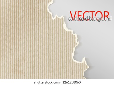 Cardboard sheet with a torn edge as an industrial abstract background. Vector.