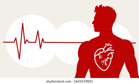Saúde cardíaca, coração masculino, ecg - banner e modelo infográfico - ilustração vetorial