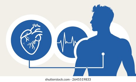 Saúde cardíaca, coração masculino, ecg - banner e modelo infográfico - ilustração vetorial