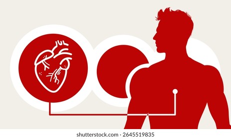 Saúde cardíaca, coração masculino, ecg - banner e modelo infográfico - ilustração vetorial