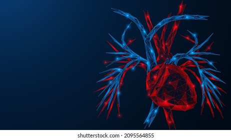 The Cardiac System. A Human Heart With Blood Vessels Located Next To It. Low-poly Design Of Interconnected Lines And Dots.