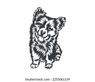Cardigan Corgi Dog Vector illustration silhouette for t-shirt, logo, badges on White background