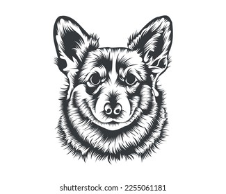 Cardigan Corgi Dog Vector illustration silhouette for t-shirt, logo, badges on White background