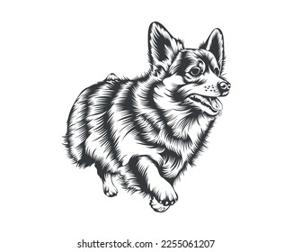 Cardigan Corgi Dog Vector illustration silhouette for t-shirt, logo, badges on White background