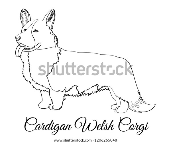 Cardigan Welsh Corgi Dog Coloring Image Vectorielle De Stock Libre De Droits 1206265048