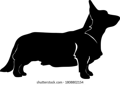 Cardigan Welsh Corgi dog silhouette vector illustration