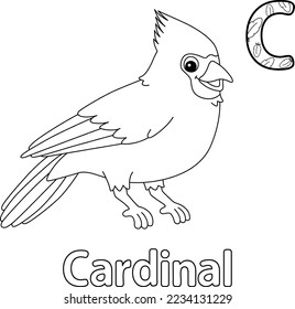 Cardinal Animal Alphabet ABC Isolated Coloring C