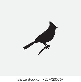 Cardinal. animals with a black outline on it vector graphic
