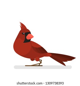 Cardinal bird. Animal with red feather and beak. Wildlife. Isolated vector illustration in cartoon style