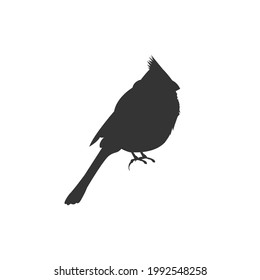 Cardinal bird black silhouette vector on a white background