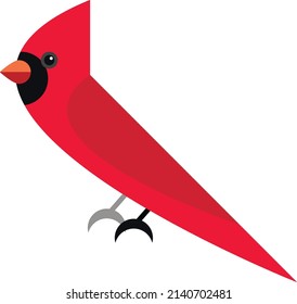 Cardinal bird cartoon style. Vector illustration on a white background