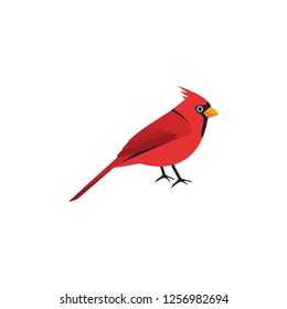 cardinal bird cartoon vector