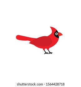 Cardinal bird cartoon vector,icon on a white background