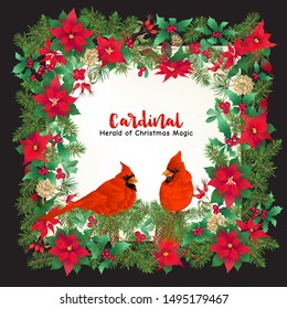 Cardinal bird and Christmas wreath of spruce, pine, poinsettia, dog rose, mistletoe, fir. Template for card, banner, gift voucher, label. Colored vector illustration.	