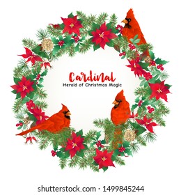 Cardinal bird and Christmas wreath of spruce, pine, poinsettia, dog rose, mistletoe, fir. Template for card, banner, gift voucher, label. Colored vector illustration.	