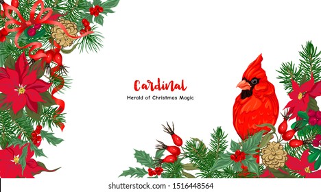 Cardinal bird and Christmas wreath of spruce, pine, poinsettia, dog rose, mistletoe, fir. Template for card, banner, gift voucher, label. Colored vector illustration.	