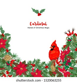 Cardinal bird and Christmas wreath of spruce, pine, poinsettia, dog rose, mistletoe, fir. Template for card, banner, gift voucher, label. Colored vector illustration.	