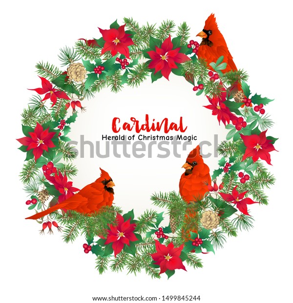 スズメ 松 ポインセチア 犬バラ ヤドリギ モミの花の枢機鳥とクリスマス花輪 カード バナー ギフト券 ラベル用のテンプレート 色とベクターイラスト のベクター画像素材 ロイヤリティフリー