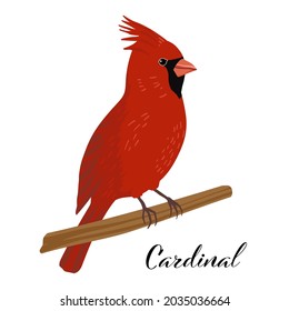 Cardinal Bird Cut Out Vector Illustration 