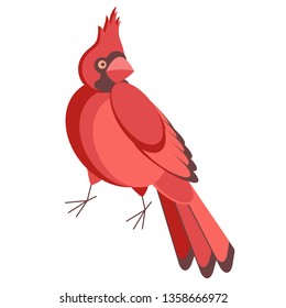 cardinal bird flat illustration on white