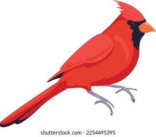 Cardinal bird icon. Red feathers wild animal isolated on white background