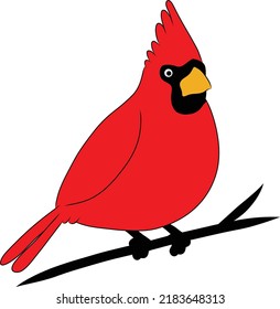 Cardinal Bird Illustration Isolated on White Background