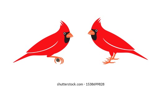 Cardinal bird logo. Isolated cardinal bird on white background