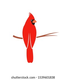 Cardinal bird logo. Isolated cardinal bird on white background