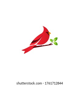 Cardinal bird logo standing in branch with red gradient color