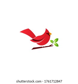 Cardinal bird logo standing in branch with red gradient color