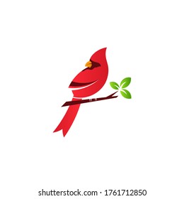 Cardinal bird logo standing in branch with red gradient color