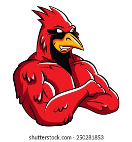 Cardinal Bird Mascot