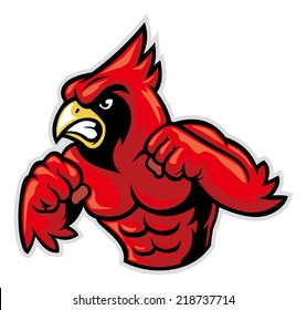 cardinal bird mascot show his muscle