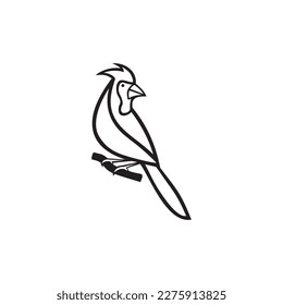 cardinal bird monoline icon vector