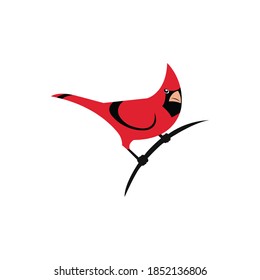 Cardinal bird on a branch vector icon on a white background