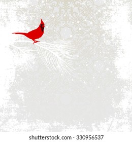 Cardinal bird on winter background