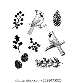 Cardinal bird perched on a branch in black and white line art. A detailed black and white illustration of a cardinal bird sitting on a branch, showcasing elegant line work