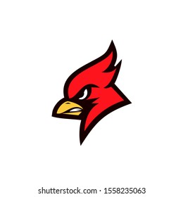 cardinal bird red logo with black background icon design vector