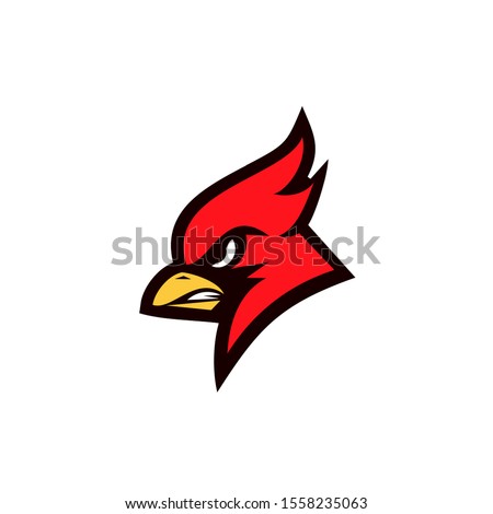 cardinal bird red logo with black background icon design vector