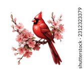 Cardinal Bird, Red Cardinal, Vector illustration, northern cardinal bird, red bird, watercolor cardinal