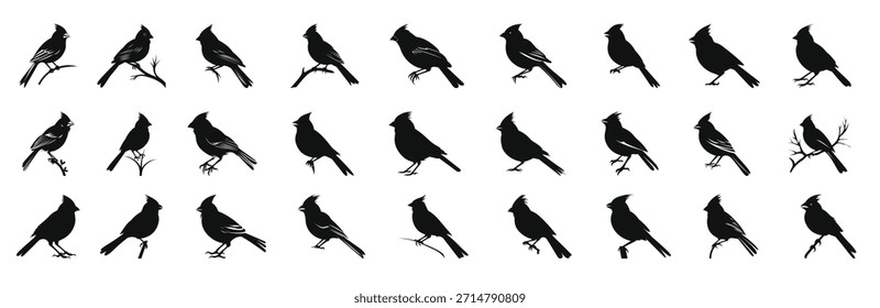 Paquete Clipart de silueta de pájaro cardinal