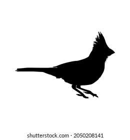 Cardinal Bird Silhouette Vector Illustration