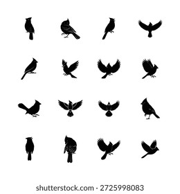 Conjunto de siluetas de aves cardinales que muestran varias poses de Ilustración vectorial voladoras y posadas.